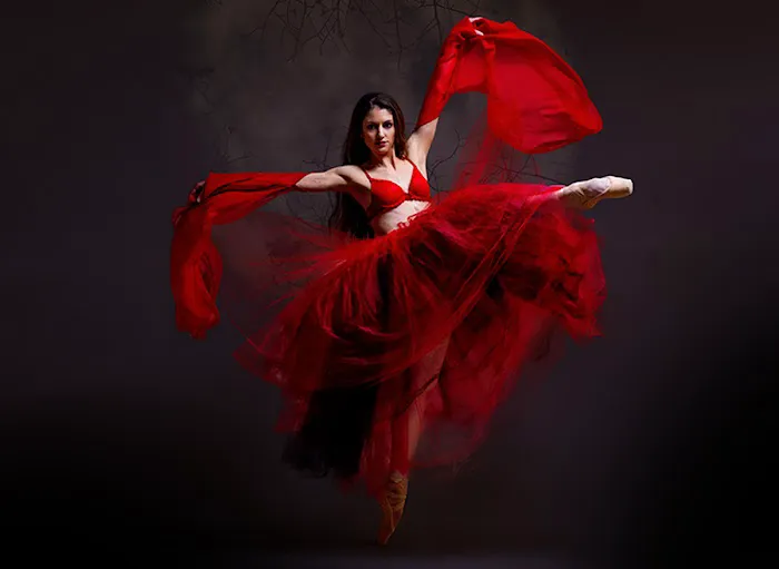 South Carolina Ballet Picture 5