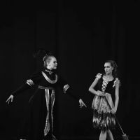 Ann Brodie's Carolina Ballet ico