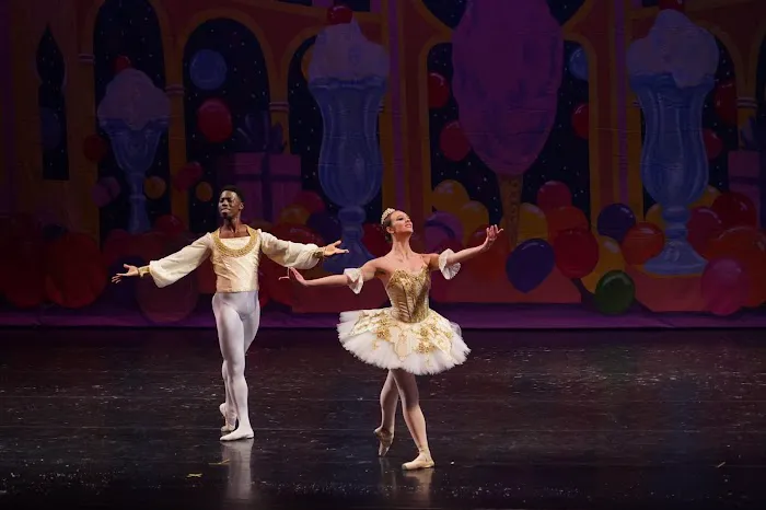 Palmetto Conservatory of Dance Picture 3