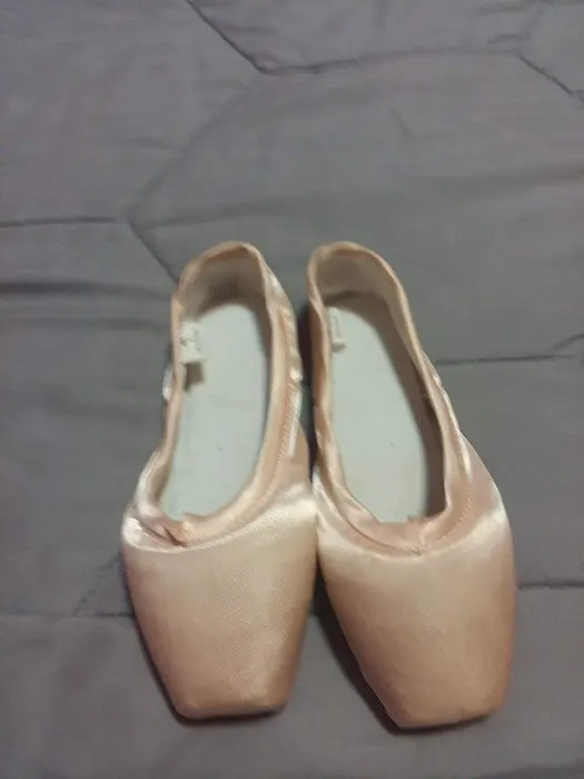 Columbia Ballet School Picture 3