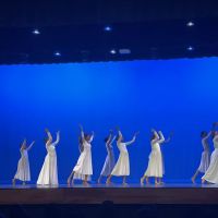 Artistic Dance Academy ico