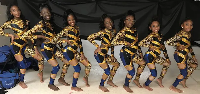 The Pantherette Palace Dance Academy Picture 6