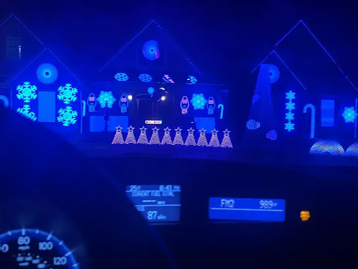 Magnificent Dancing Light Display Picture 1