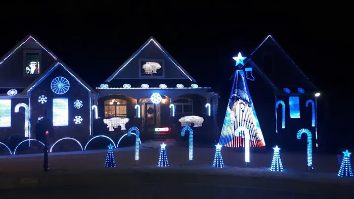 Magnificent Dancing Light Display Picture 7