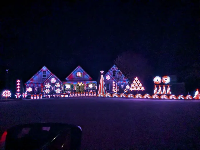 Magnificent Dancing Light Display Picture 8