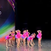 Dance Fever Huntersville ico