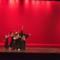 Dancing Daughters Ministry, Inc ico
