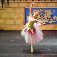 Piedmont School of Music & Dance ico