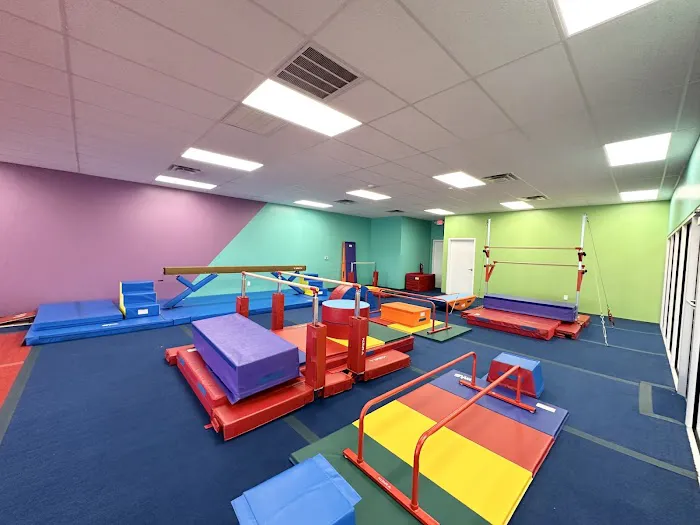 The Little Gym of Rock Hill Picture 3
