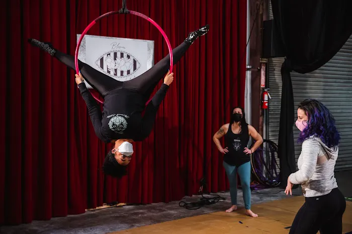 Bloom Movement Artistry Picture 3