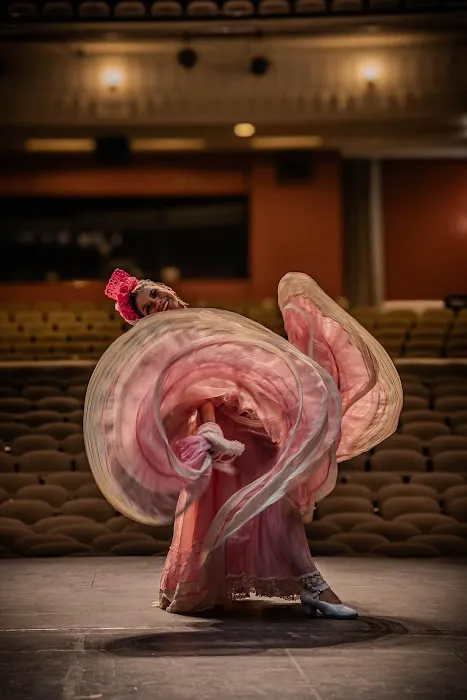 El alma de la luna Dance Academy Picture 5