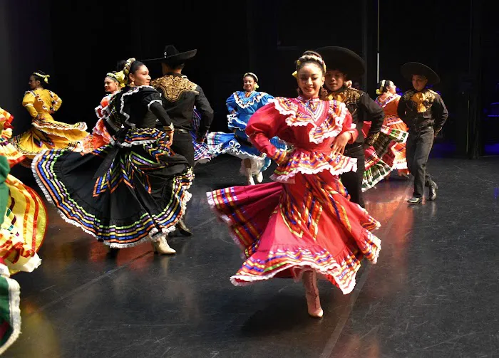 El alma de la luna Dance Academy Picture 7