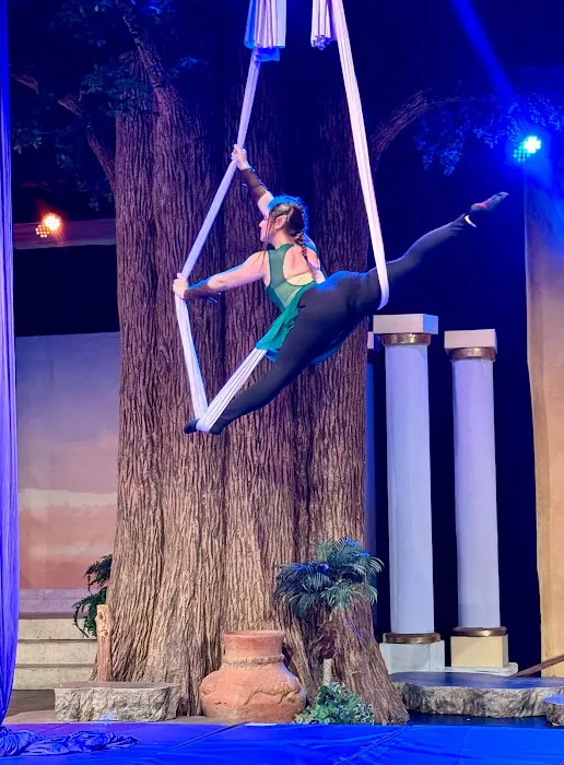 Aerial Joy Picture 1