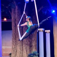 Aerial Joy ico