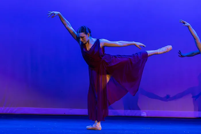 Piedmont School of Music & Dance Picture 2