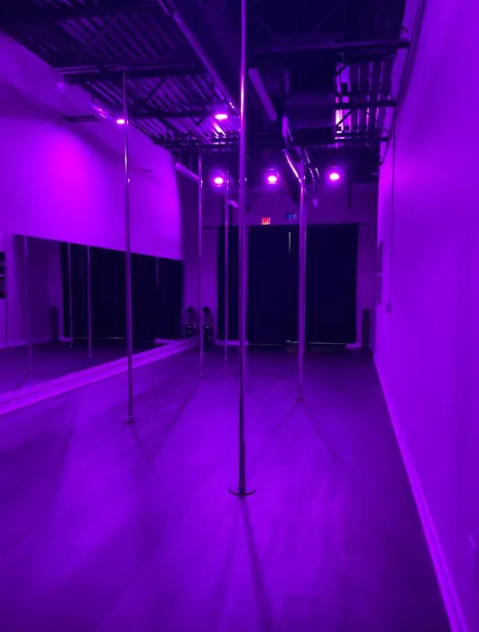 Pole Body & Arts Picture 6