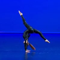 Catwoman Pole Academy ico