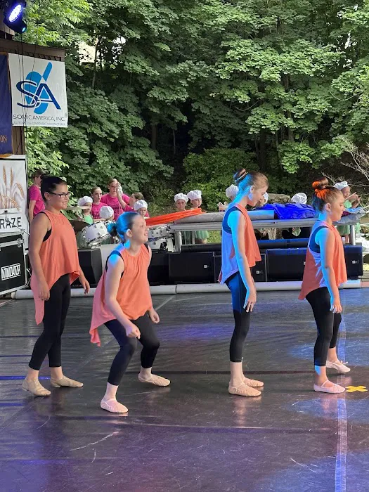 Lisa's School of Performing Arts Picture 4