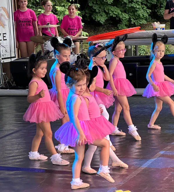 Lisa's School of Performing Arts Picture 9