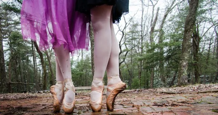 Westover Ballet Picture 1