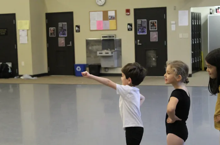 Community Ballet Picture 2