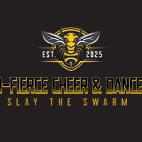 B-Fierce Cheer & Dance ico