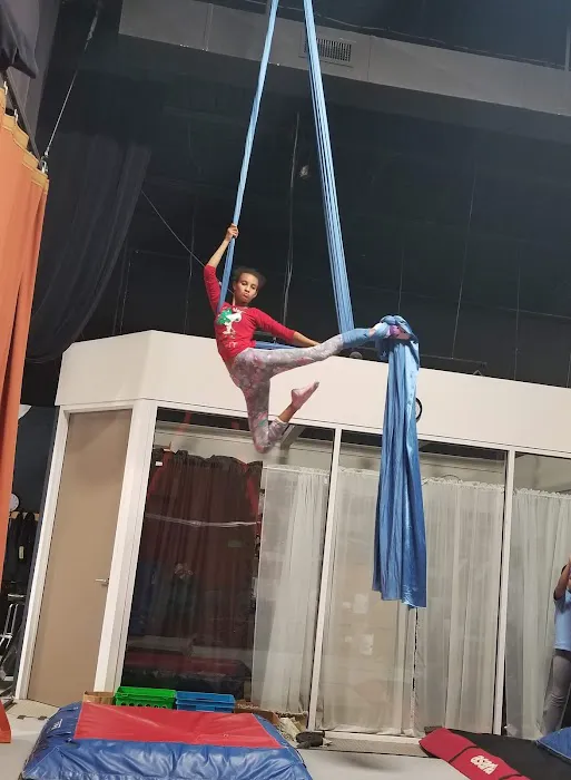 Charlotte Cirque & Dance Center Picture 7