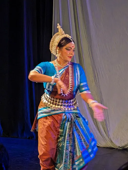Charlotte Cirque & Dance Center Picture 8