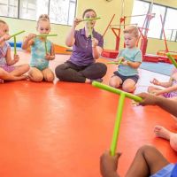 The Little Gym of Charlotte ico