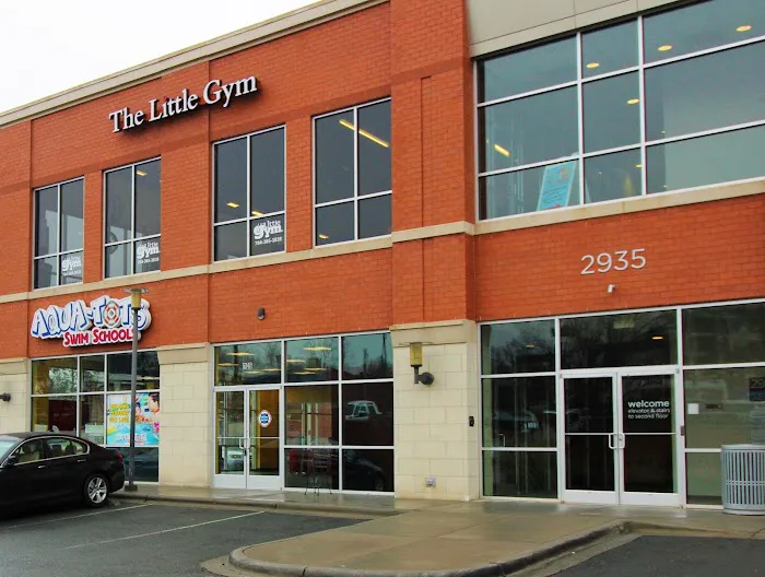 The Little Gym of Charlotte Picture 4