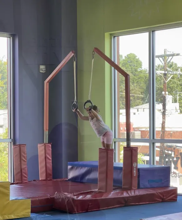 The Little Gym of Charlotte Picture 5