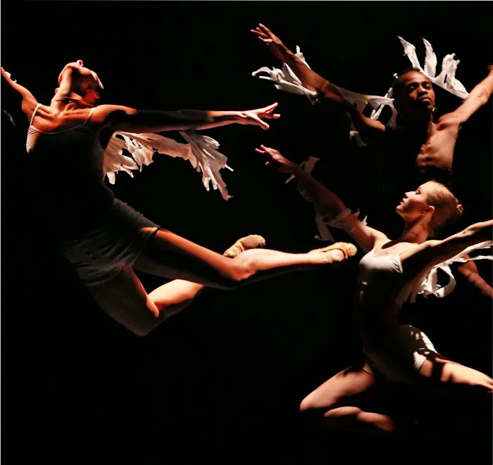 Winston Salem Festival Ballet Picture 4