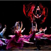 Winston Salem Festival Ballet ico