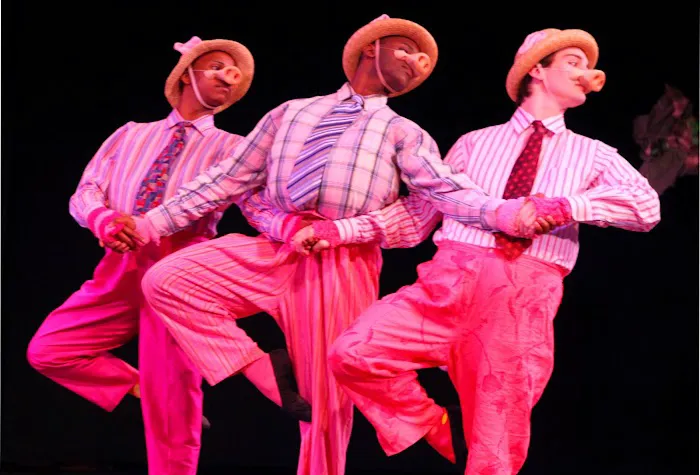 Winston Salem Festival Ballet Picture 5