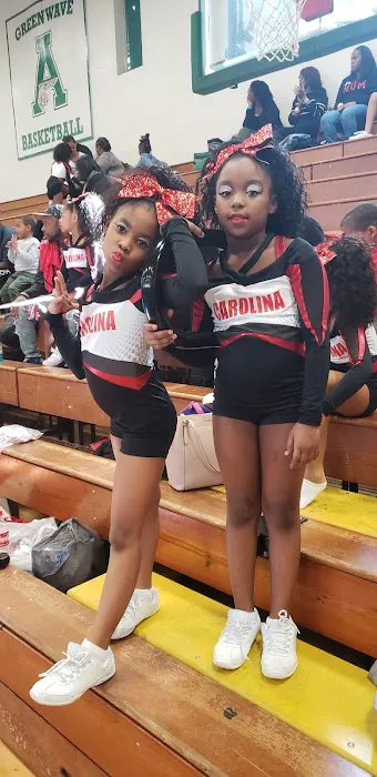 CA Cheer and Dance Picture 10