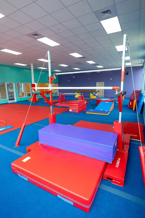 The Little Gym of Waxhaw Picture 9