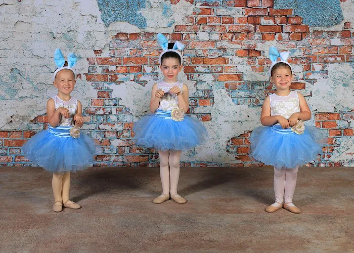 Dreamworks Dance Academy Picture 3