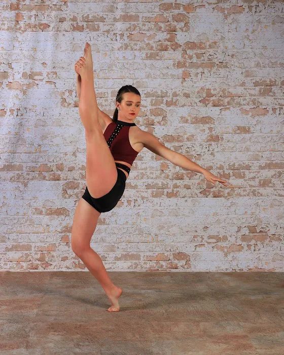 Dreamworks Dance Academy Picture 9