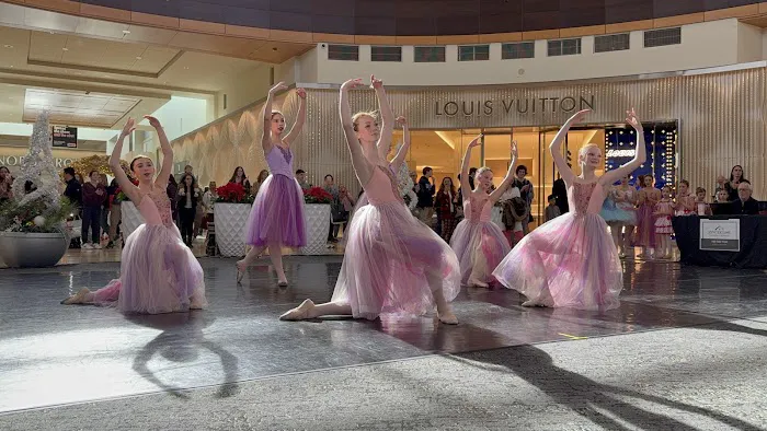 South Charlotte Ballet Company Picture 2
