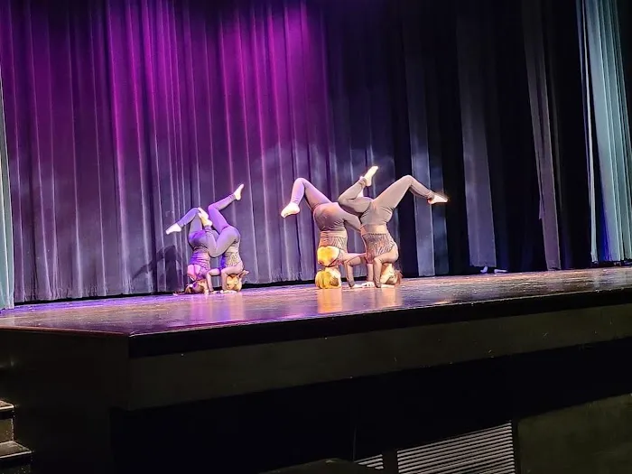 Gotta Dance Picture 4