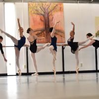 Artistic Motion School of Arts & Preparatory Academy ico