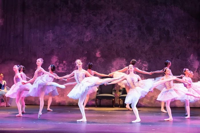 Artistic Motion School of Arts & Preparatory Academy Picture 3