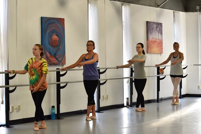 Artistic Motion School of Arts & Preparatory Academy Picture 4