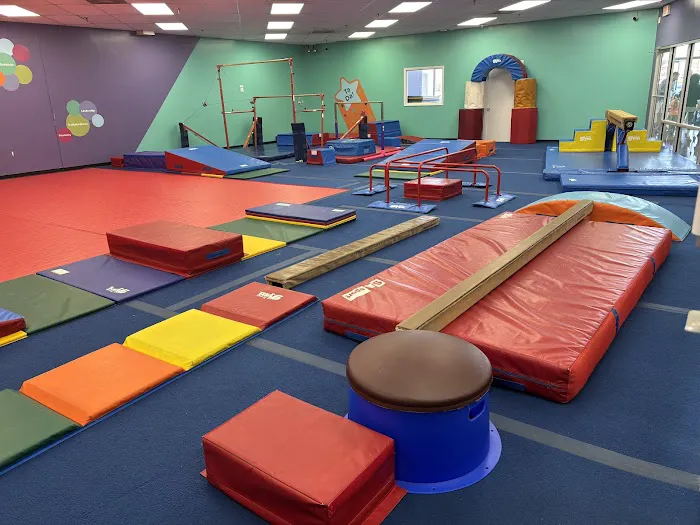 The Little Gym of Greensboro Picture 1