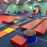 The Little Gym of Greensboro ico