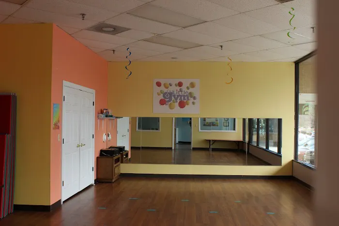 The Little Gym of Greensboro Picture 10
