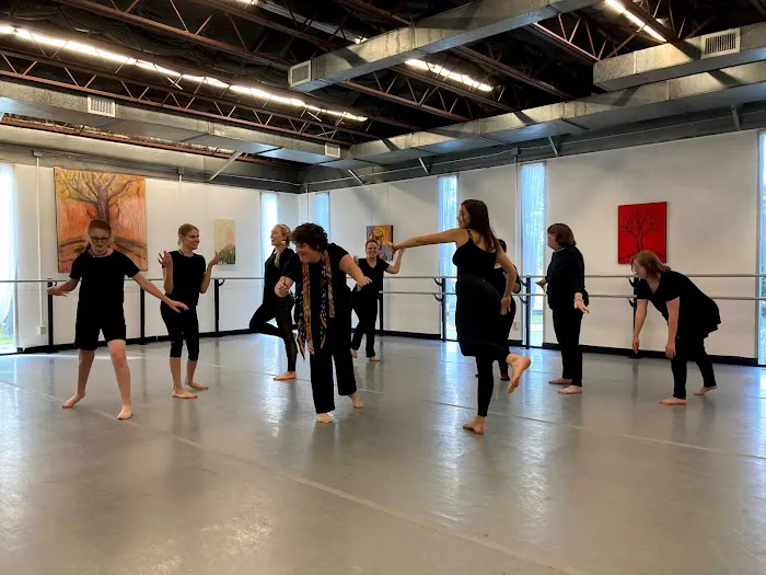 The Dance Lab Co. Picture 1