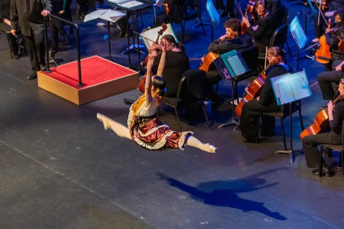 Triad International Ballet Picture 3