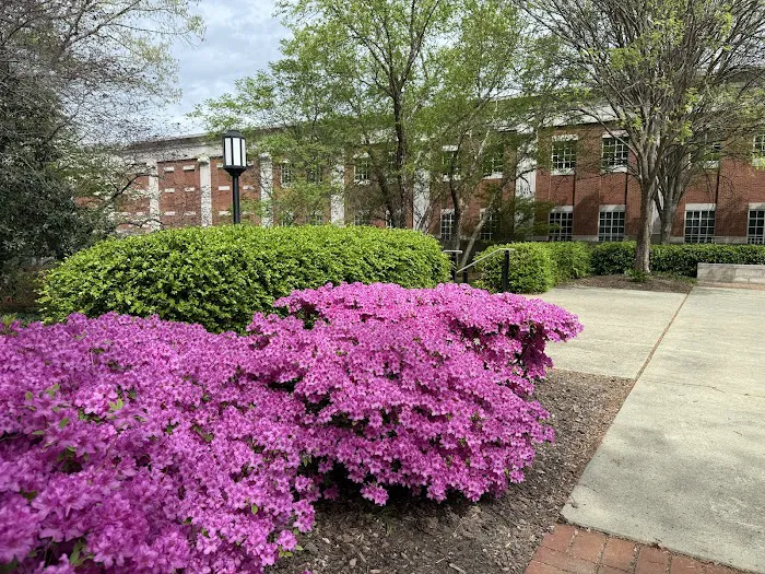 UNCG College of Visual and Performing Arts Picture 4