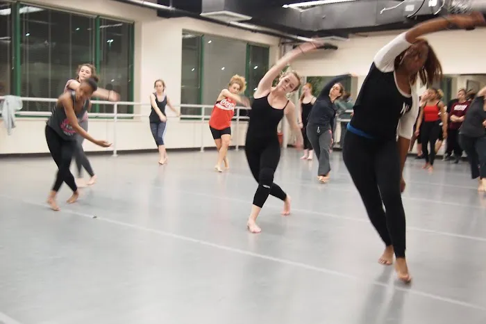 Dance Project Picture 8